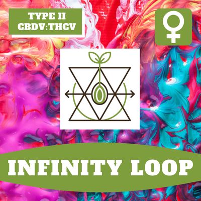 Infinity Loop - 12 (F) Seeds Infinity Loop - 12 (F) Seeds