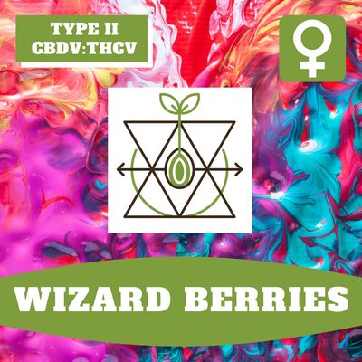 Wizard Berries - 12 (F) Seeds Wizard Berries - 12 (F) Seeds