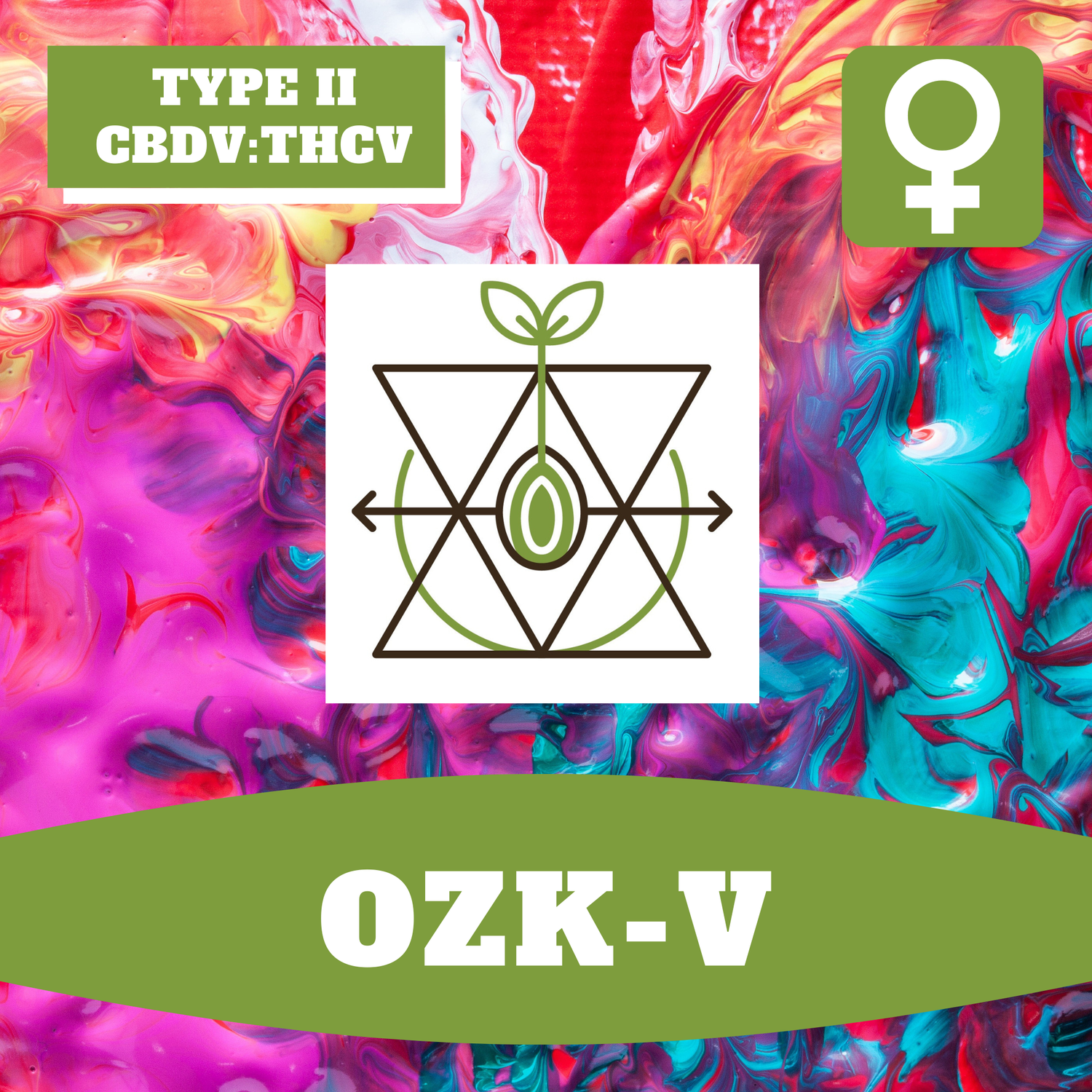 OZK-V - 12 (F) Seeds