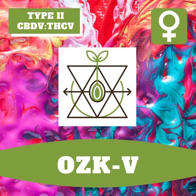 OZK-V - 12 (F) Seeds OZK-V - 12 (F) Seeds