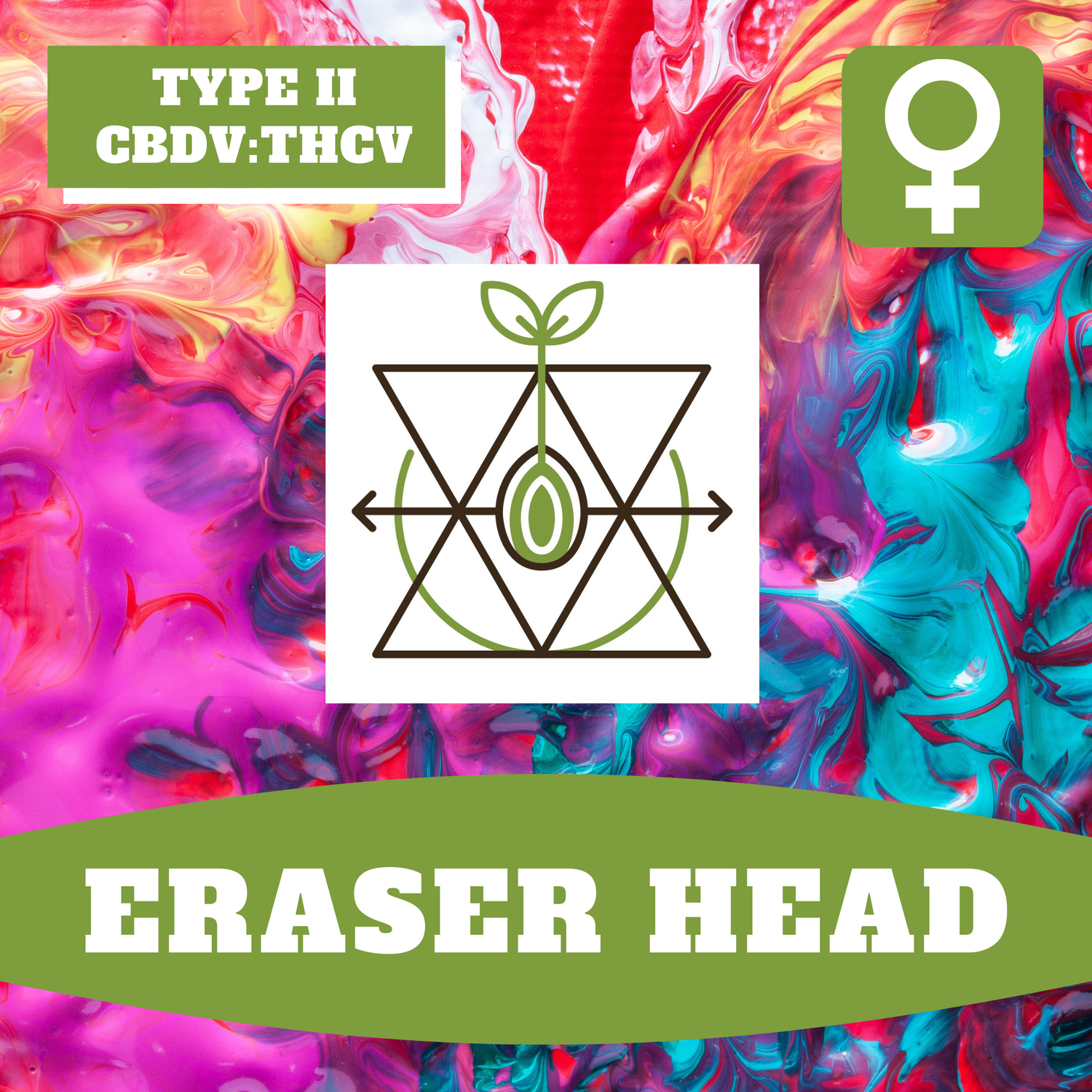 Eraser Head - 12 (F) Seeds