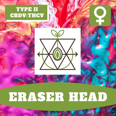 Eraser Head - 12 (F) Seeds Eraser Head - 12 (F) Seeds