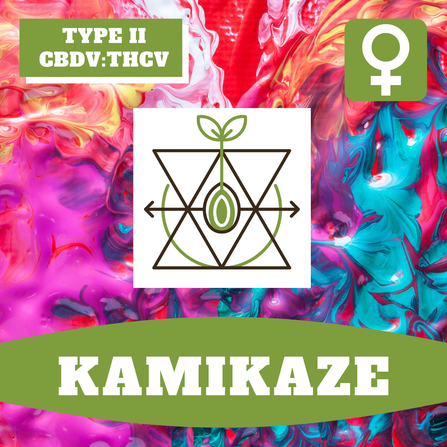 Kamikaze - 12 (F) Seeds