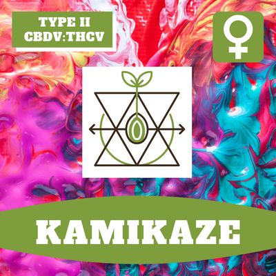 Kamikaze - 12 (F) Seeds Kamikaze - 12 (F) Seeds