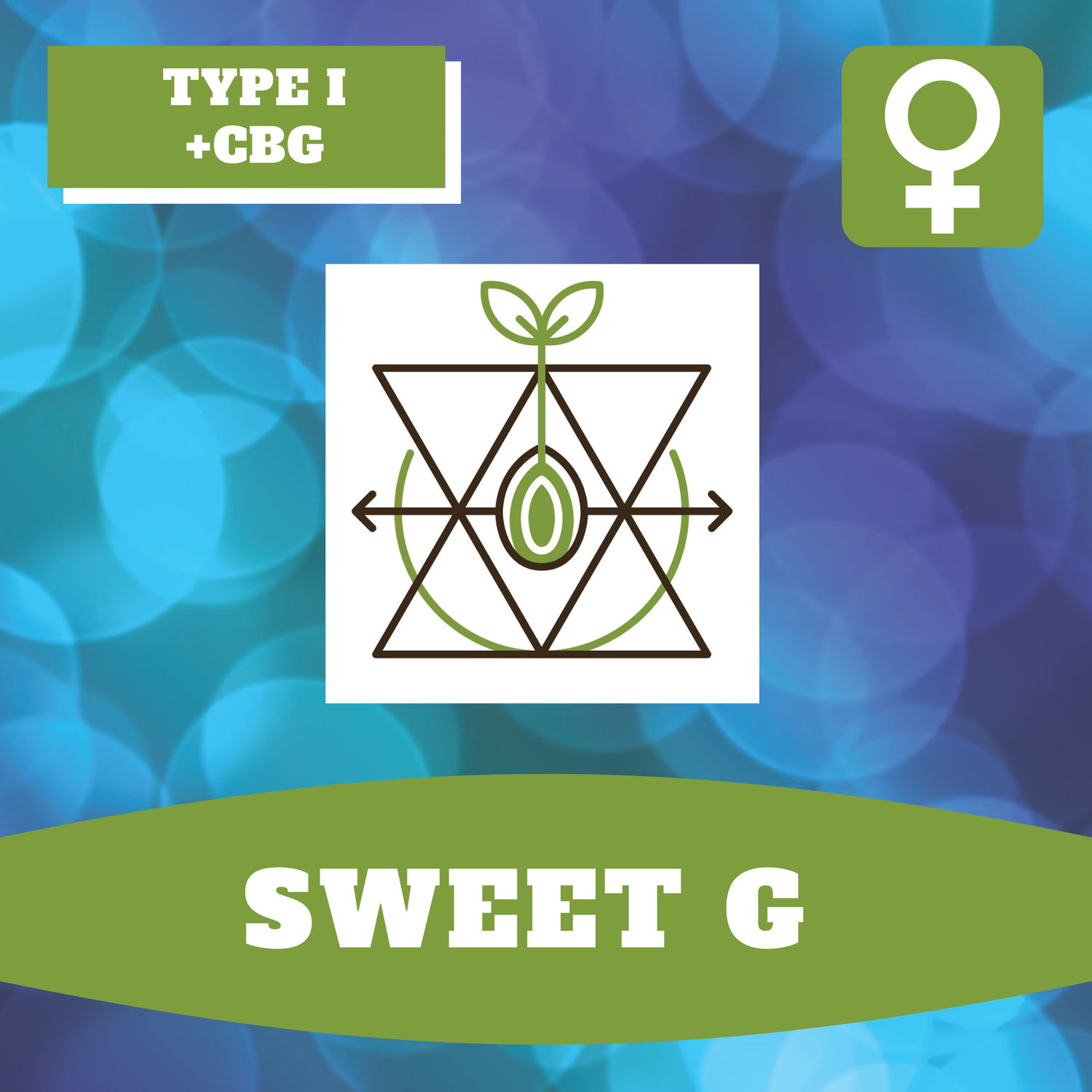 Sweet G - 12 (F) Seeds