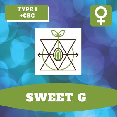 Sweet G - 12 (F) Seeds Sweet G - 12 (F) Seeds