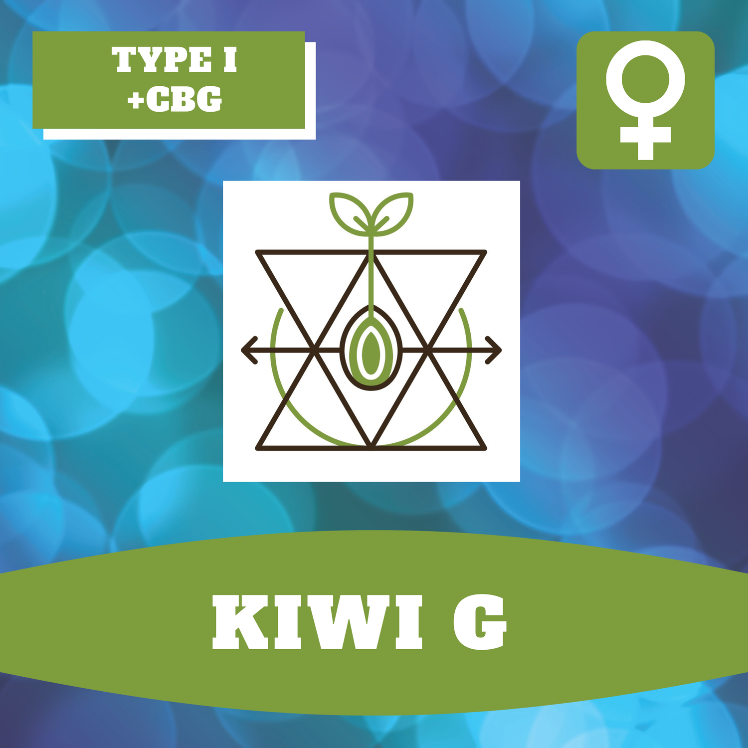 Kiwi G - 12 (F) Seeds Kiwi G - 12 (F) Seeds