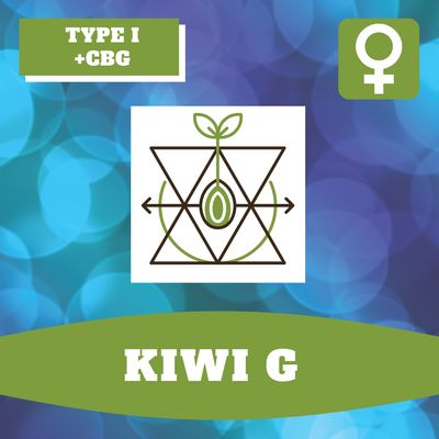 Kiwi G - 12 (F) Seeds Kiwi G - 12 (F) Seeds
