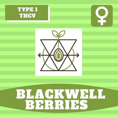 Blackwell Berries - 12 (F) Seeds