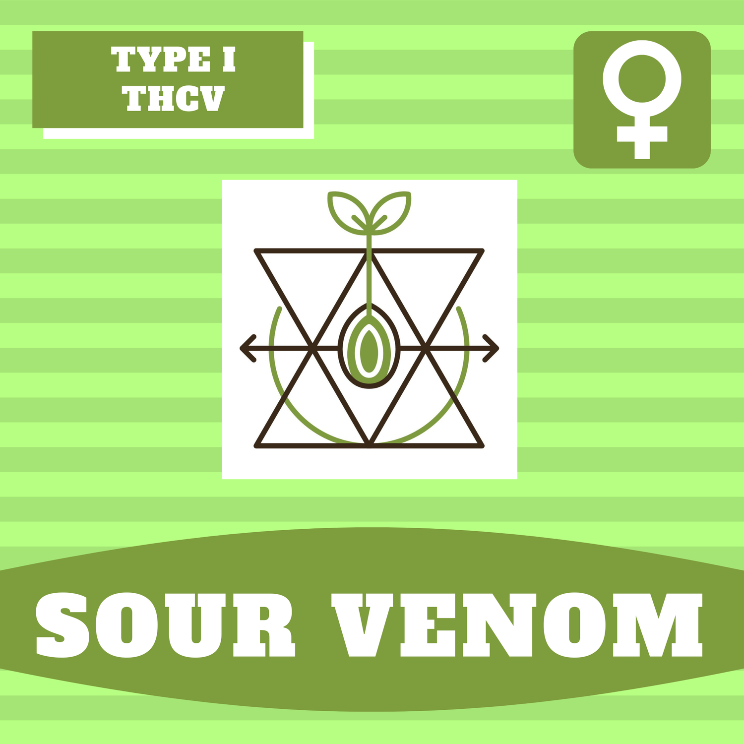 Sour Venom - 12 (F) Seeds
