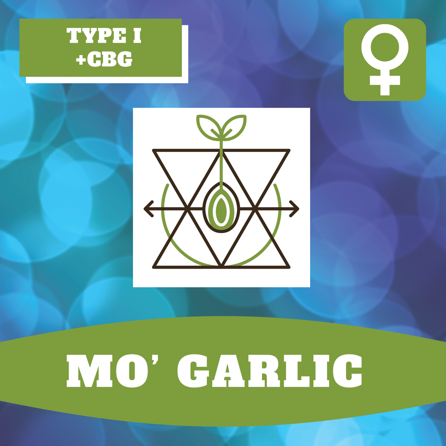 Mo' Garlic - 12 (F) Seeds