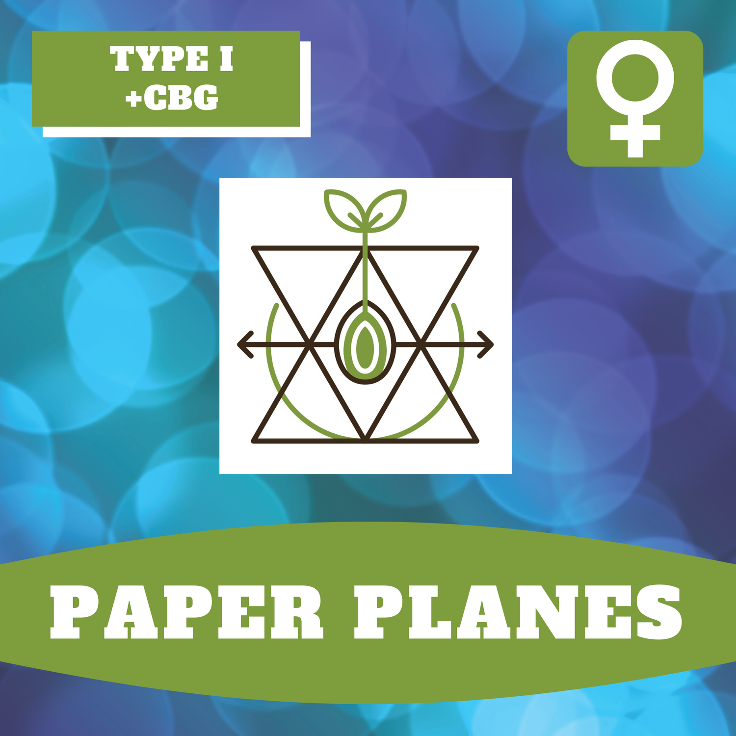 Paper Planes - 12 (F) Seeds
