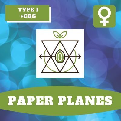 Paper Planes - 12 (F) Seeds Paper Planes - 12 (F) Seeds