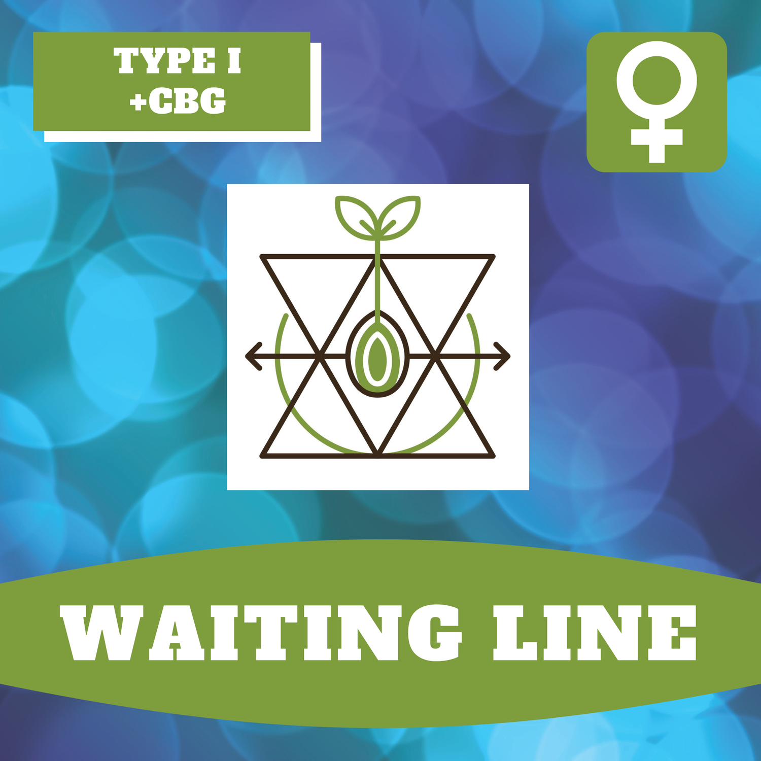 Waiting Line - 12 (F) Seeds Waiting Line - 12 (F) Seeds