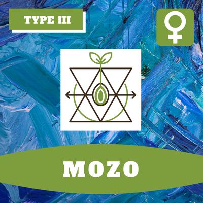 Mozo (F) Seeds Mozo (F) Seeds