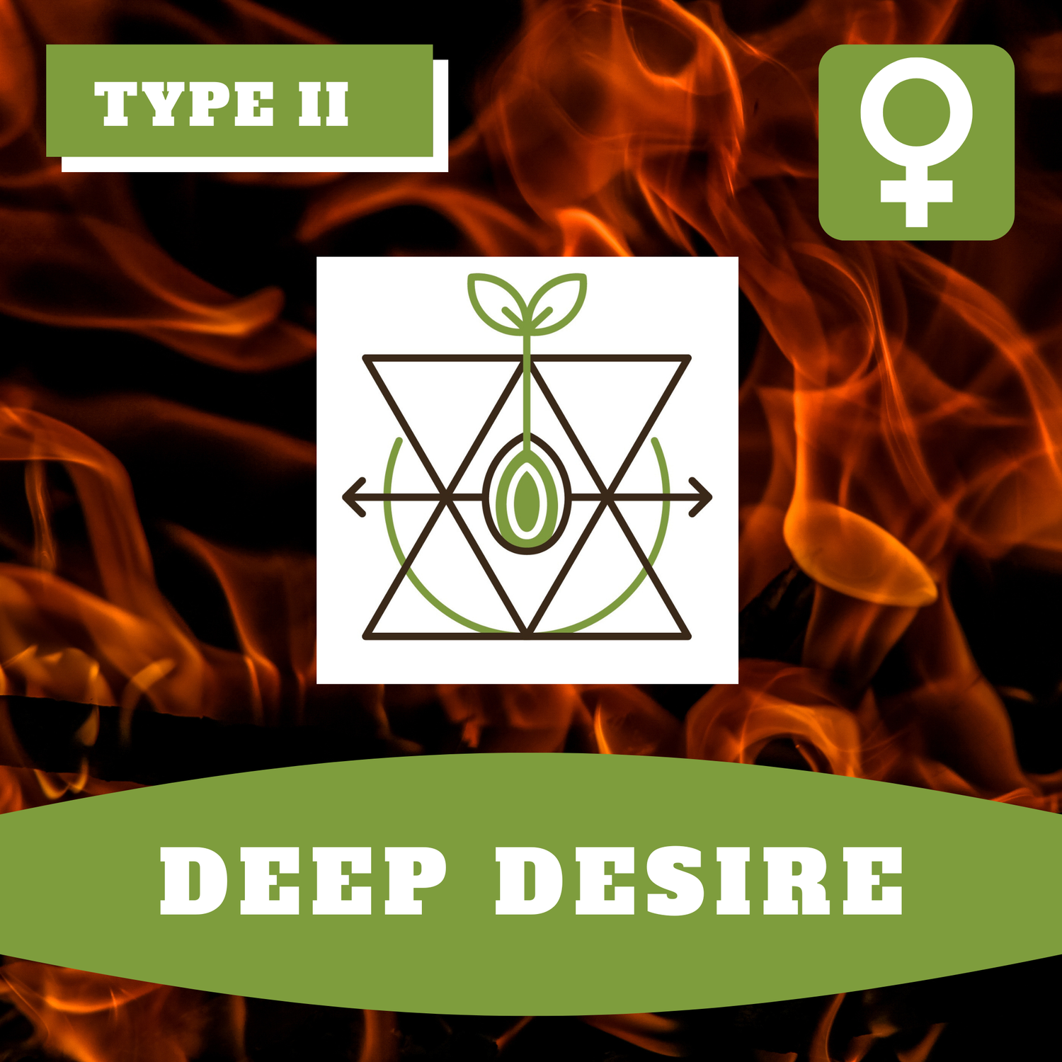 Hoku's Deep Desire - 12 (F) Seeds