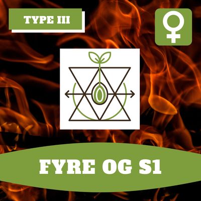 Fyre OG S1 (F) Fyre OG S1 (F)
