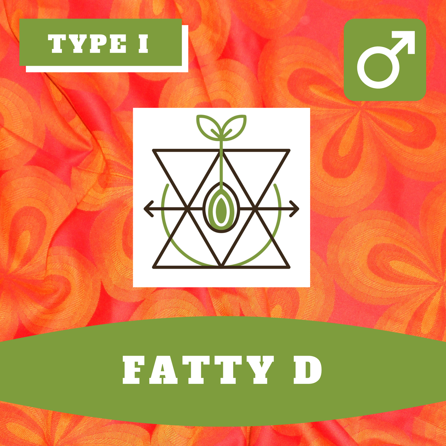 Fatty D - 12 (R) Seeds Fatty D - 12 (R) Seeds