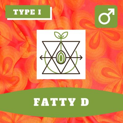 Fatty D - 12 (R) Seeds Fatty D - 12 (R) Seeds