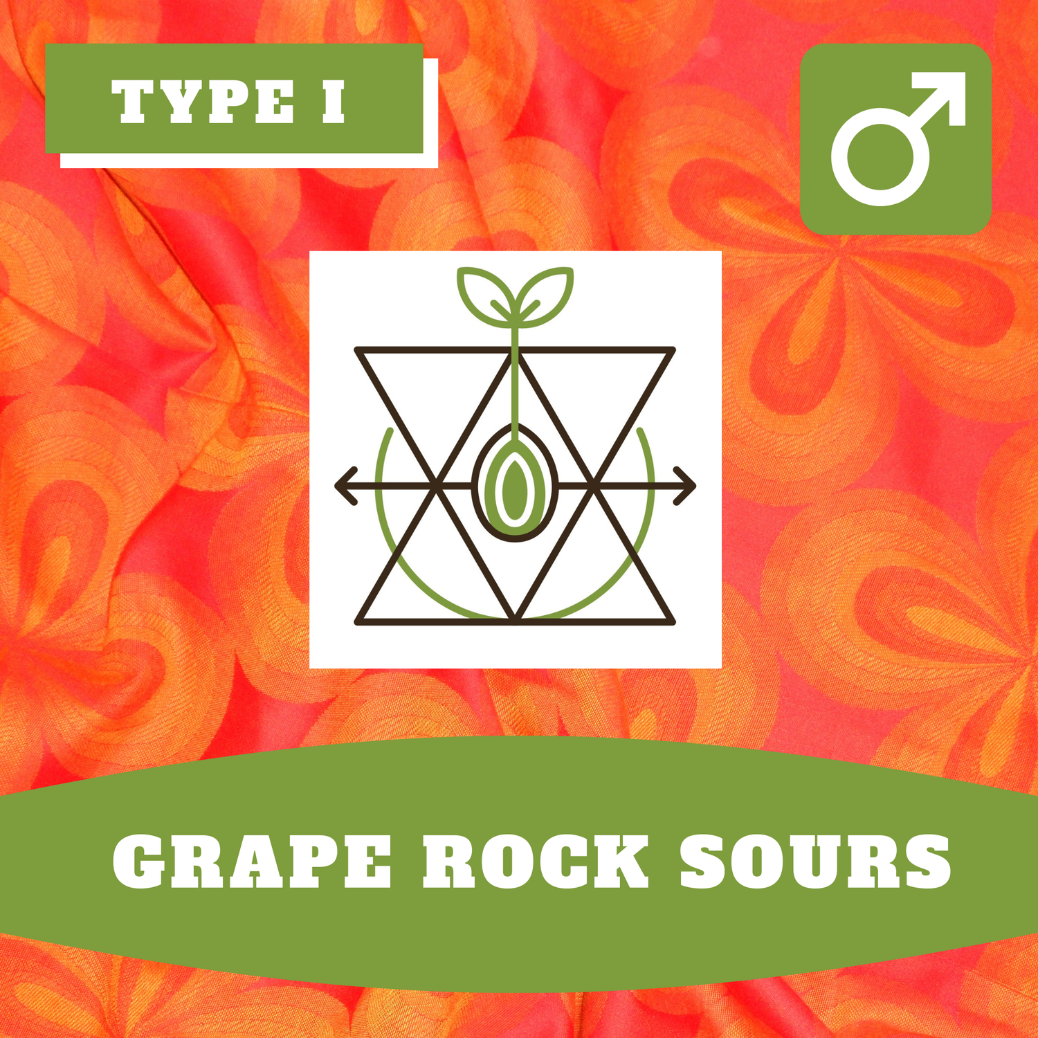 Grape Rock Sours - 12 (R) Seeds