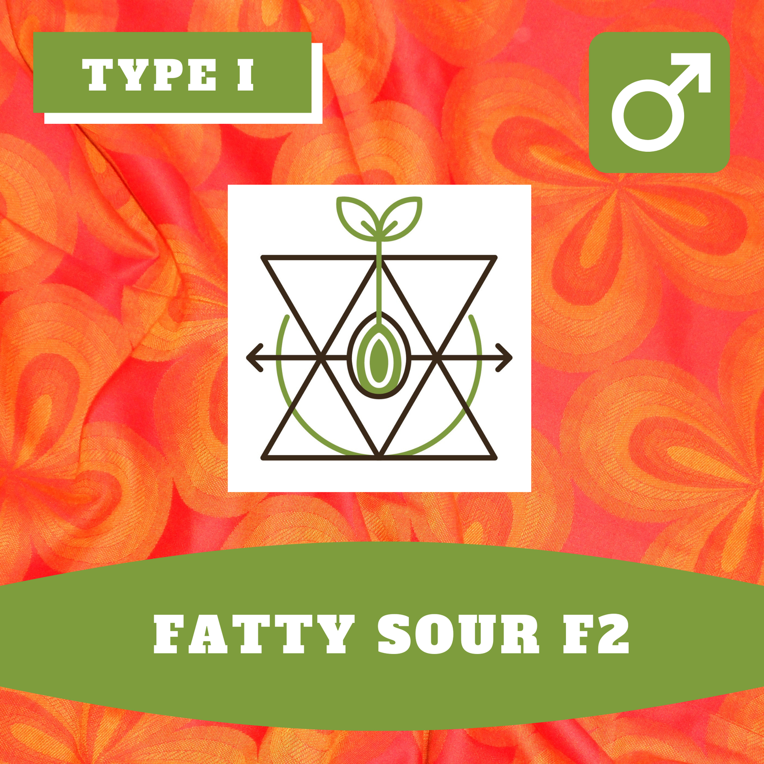 Fatty Sour F2 - 12 (R) Seeds