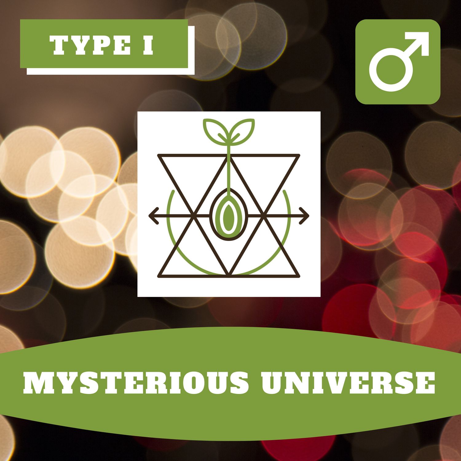 Mysterious Universe 12 (R) Seeds Mysterious Universe 12 (R) Seeds