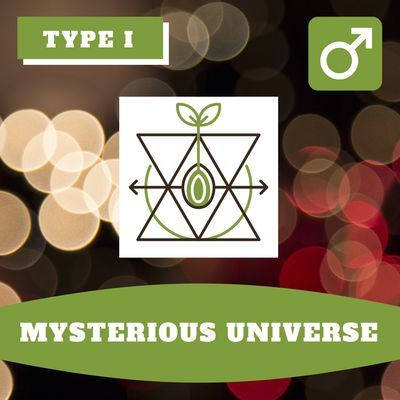Mysterious Universe 12 (R) Seeds Mysterious Universe 12 (R) Seeds