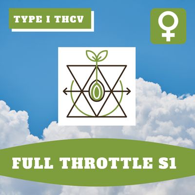 Full Throttle S1 - 12 (F) Seeds Full Throttle S1 - 12 (F) Seeds