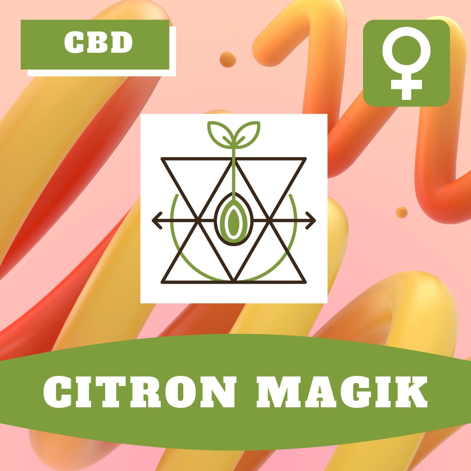 Citron Magik (F) Auto Seeds Citron Magik (F) Auto Seeds