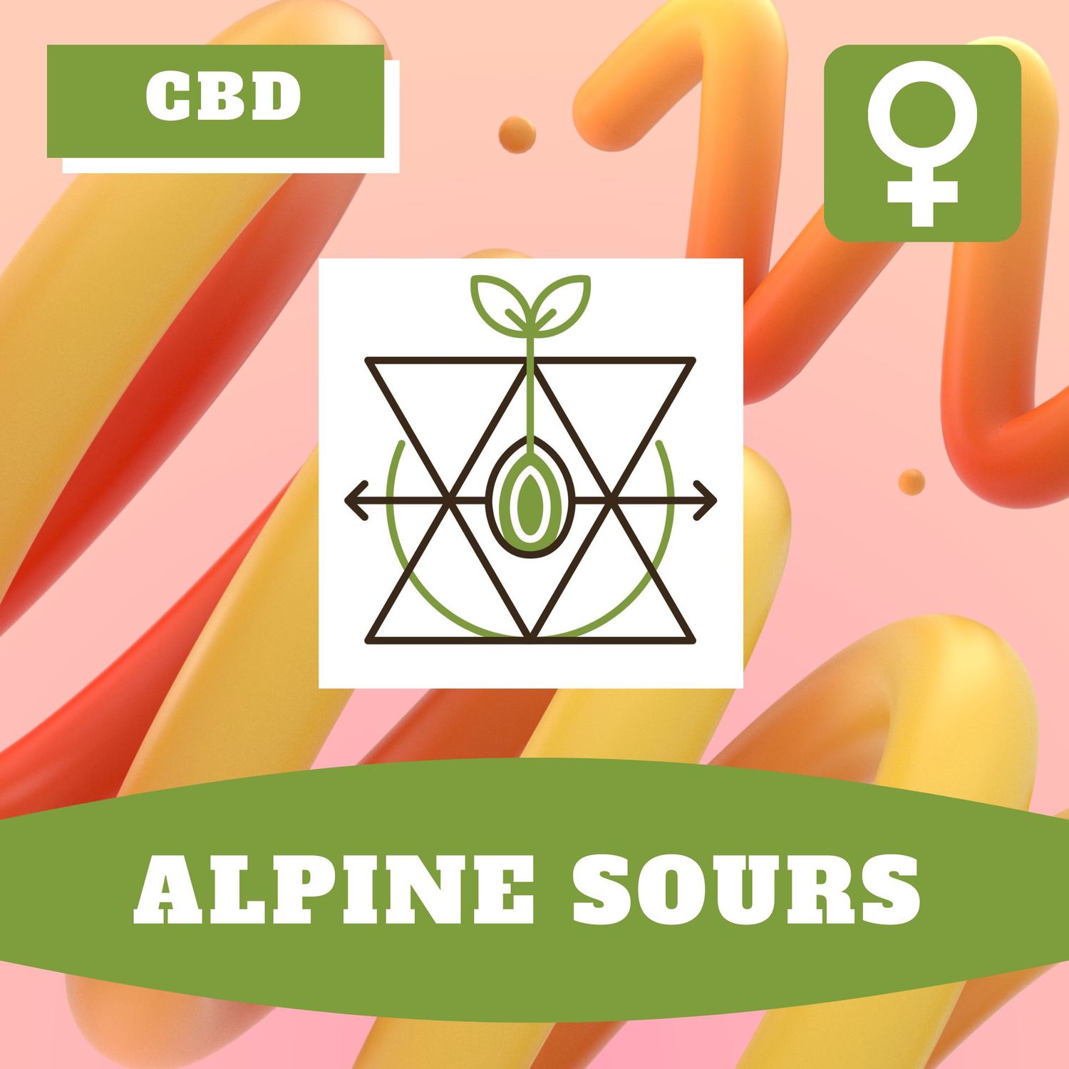 Alpine Sours (F) Auto Seeds Alpine Sours (F) Auto Seeds