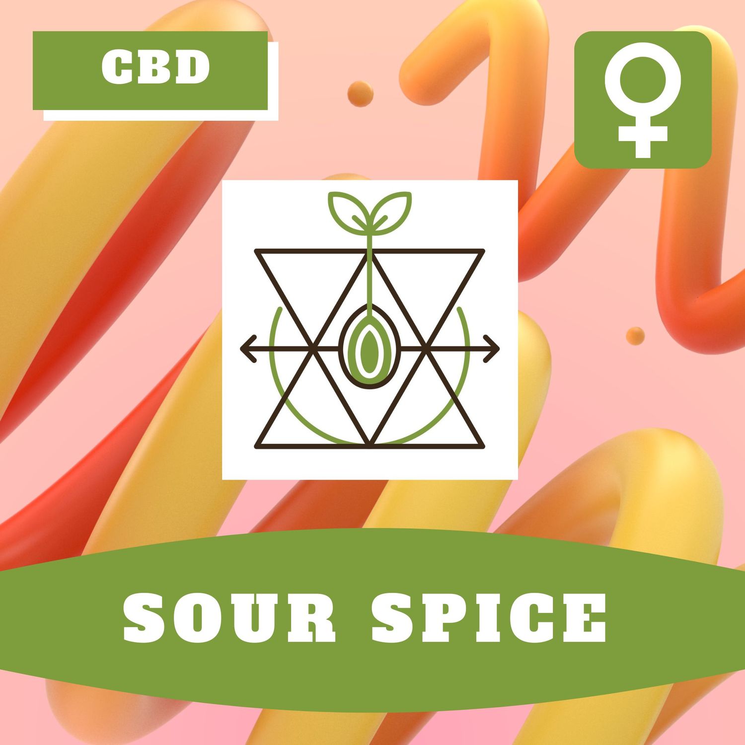 Sour Spice (F) Auto Seeds