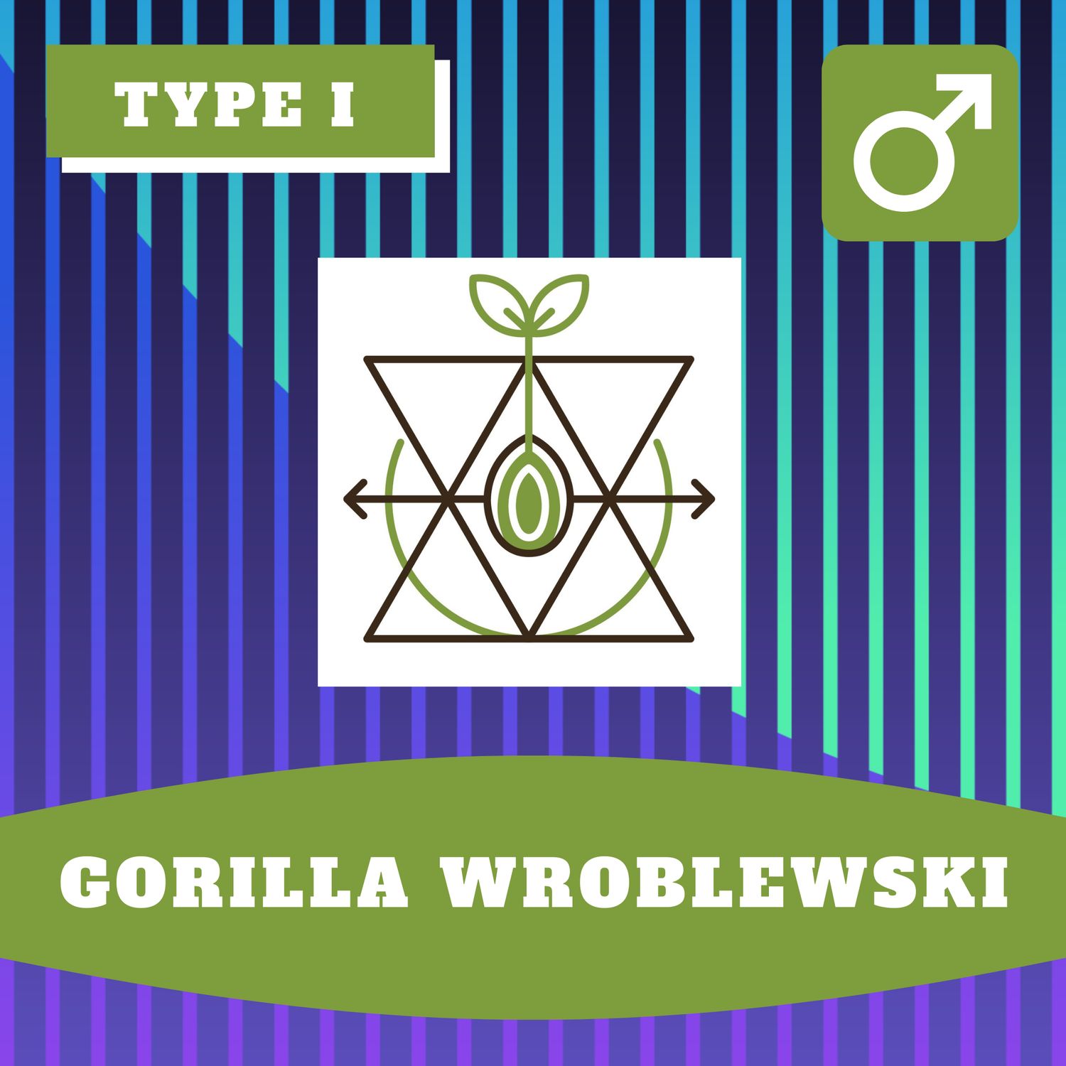 Gorilla Wroblewski - 12 (R) Seeds Gorilla Wroblewski - 12 (R) Seeds