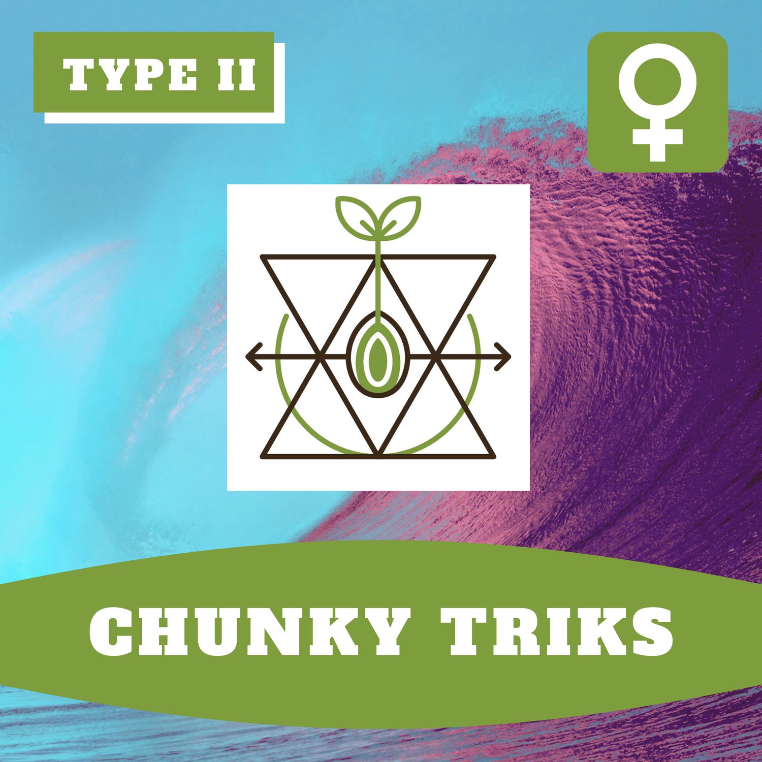 Chunky Triks (F) Auto Seeds
