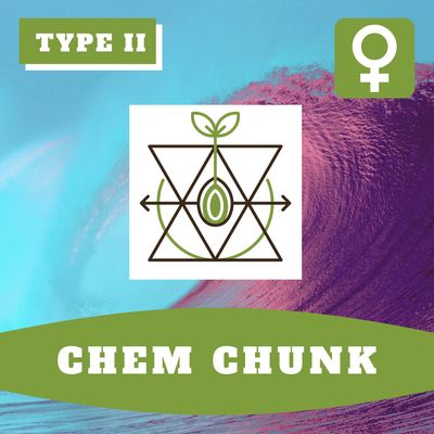 Chem Chunk (F) Auto Seeds