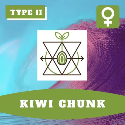 Kiwi Chunk (F) Auto Seeds
