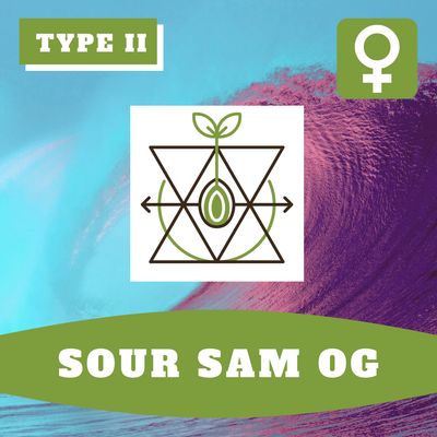 Sour Sam OG (F) Auto Seeds