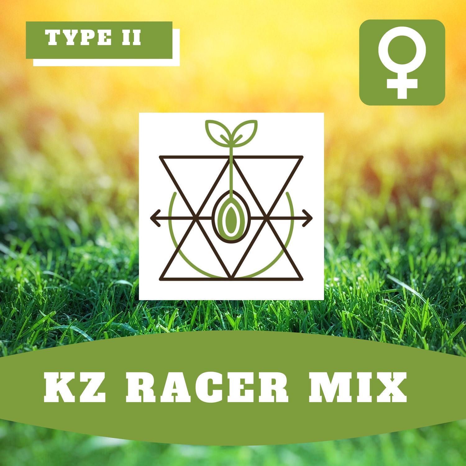 KZ Racer Mix - 1000 (F) Seeds KZ Racer Mix - 1000 (F) Seeds