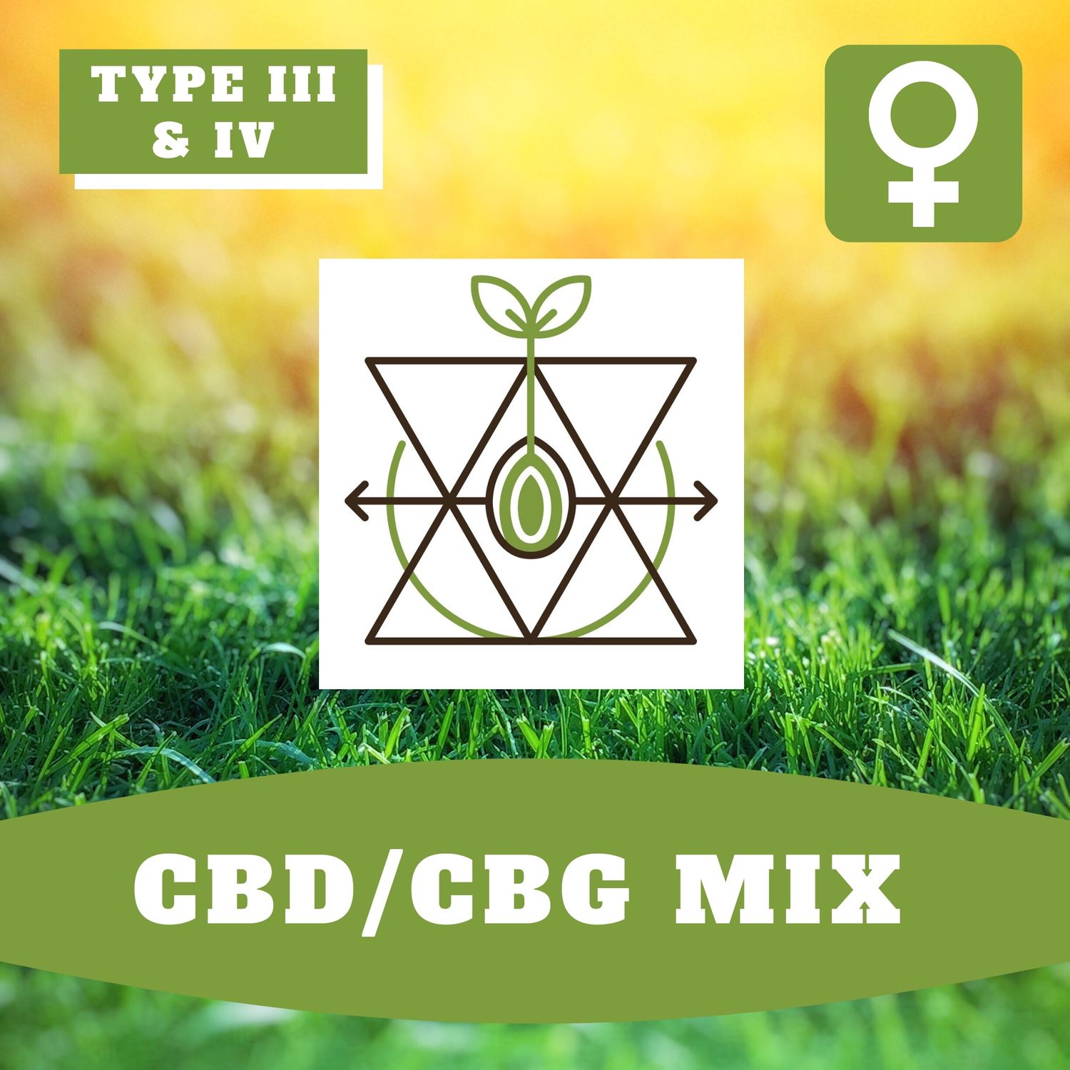CBD/CBG MIX - 1000 (F) SEEDS