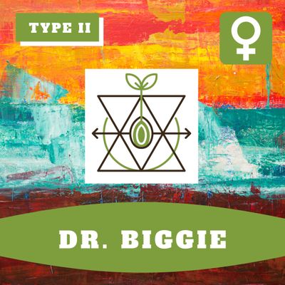 Dr. Biggie (F) Auto Seeds Dr. Biggie (F) Auto Seeds