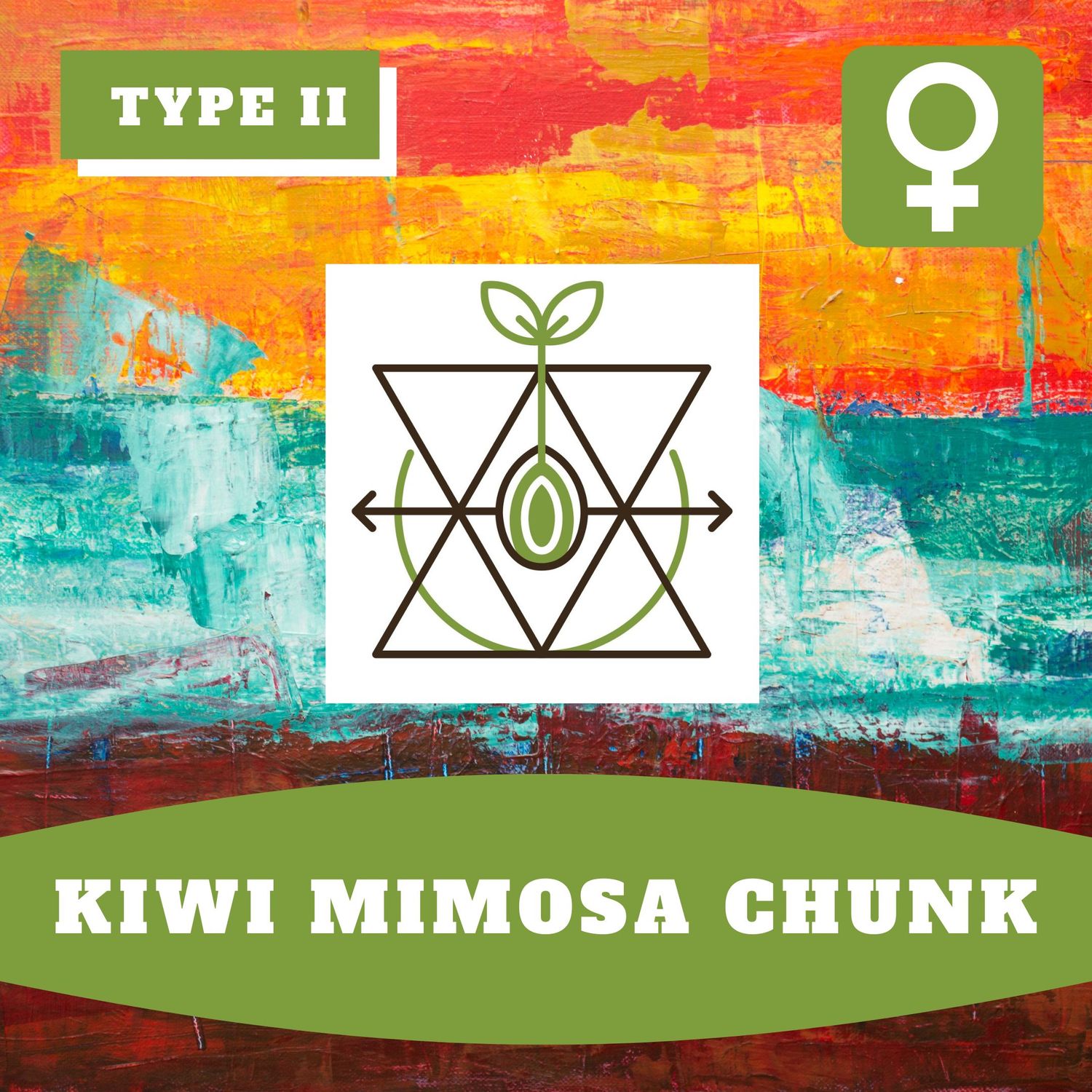Kiwi Mimosa Chunk (F) Auto Seeds Kiwi Mimosa Chunk (F) Auto Seeds