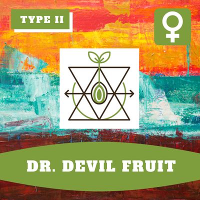 Dr. Devil Fruit (F) Auto Seeds