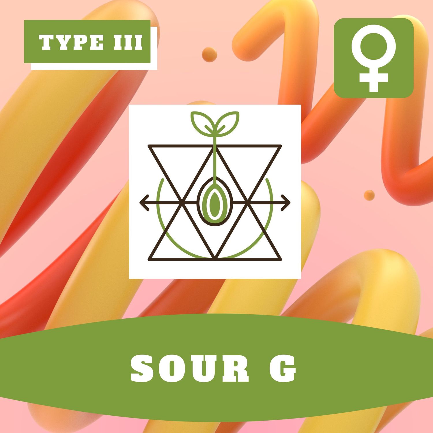 Sour G (F) Auto Seeds