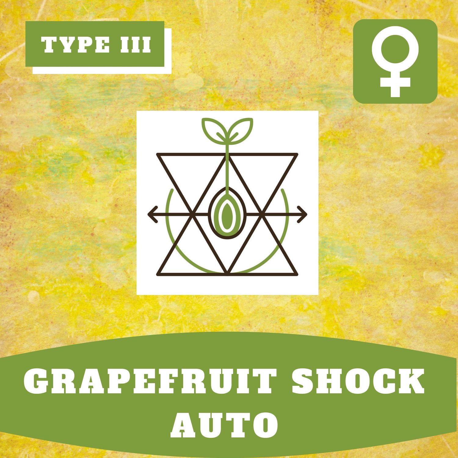 Grapefruit Shock Auto (F) 10 Seeds Grapefruit Shock Auto (F) 10 Seeds