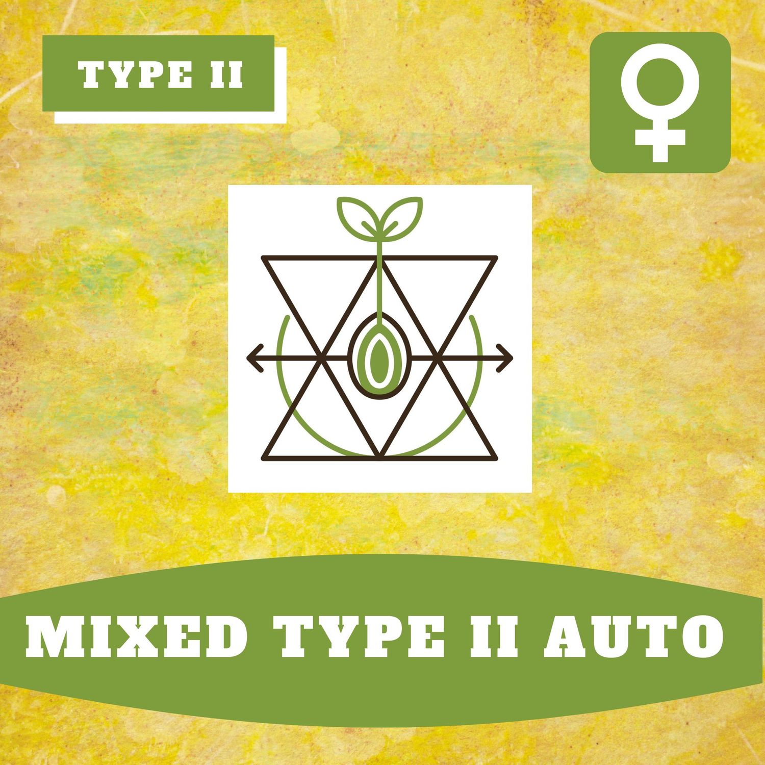 Mixed Type II Auto (F) - 10 seeds Mixed Type II Auto (F) - 10 seeds
