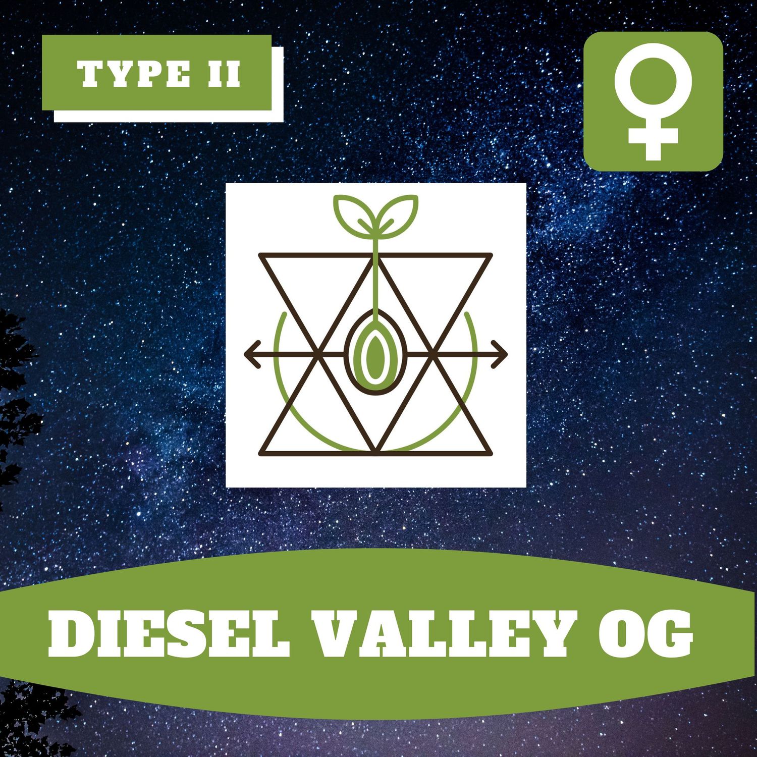 Diesel Valley OG (F) - 12 Seeds