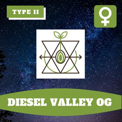 Diesel Valley OG (F) - 12 Seeds