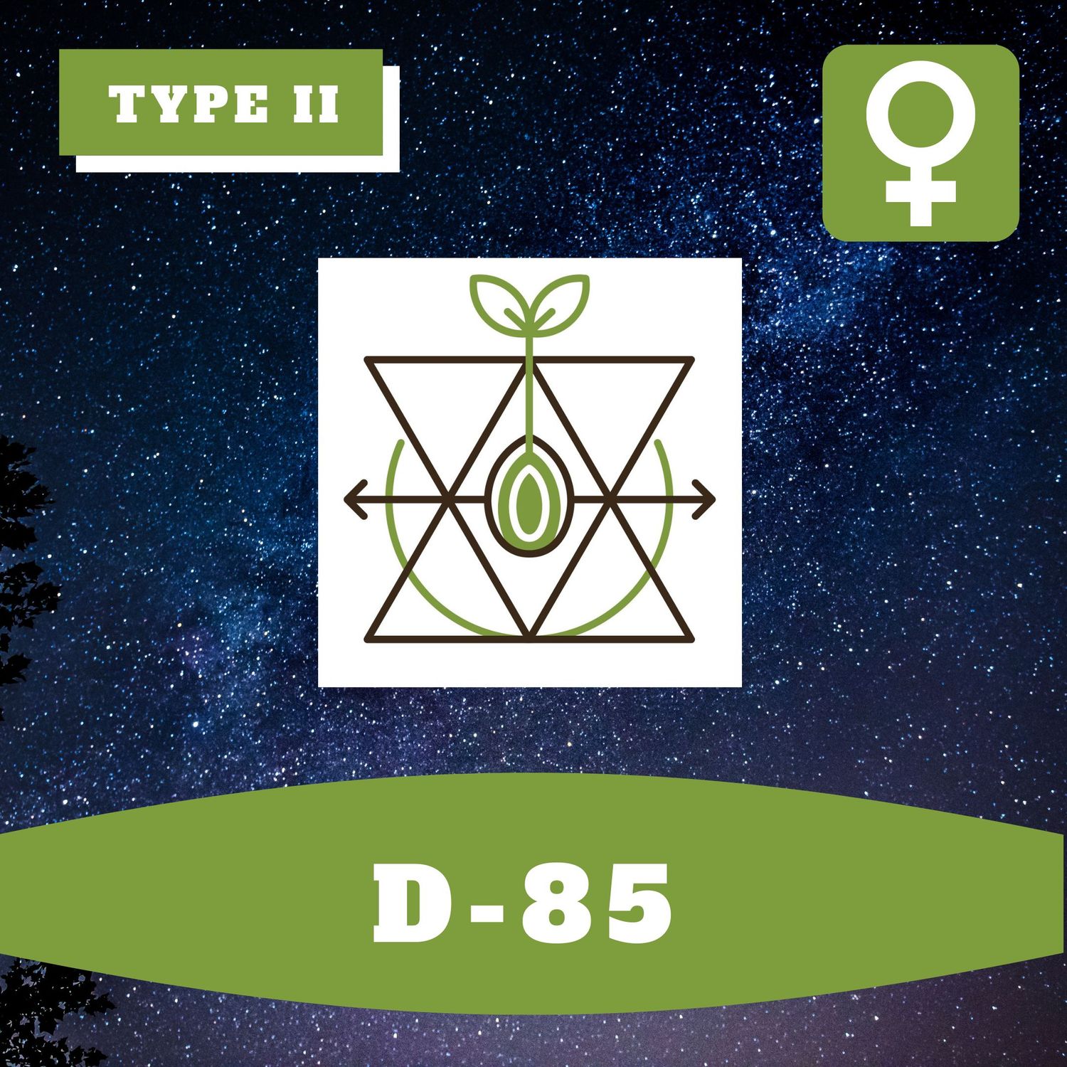 D-85 (F) - 12 Seeds