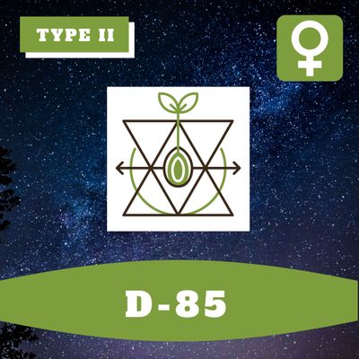 D-85 (F) - 12 Seeds
