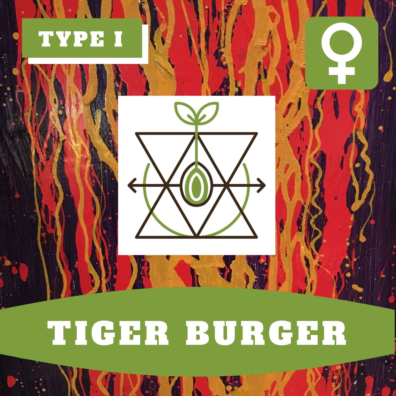 Tiger Burger (F) - 12 Seeds