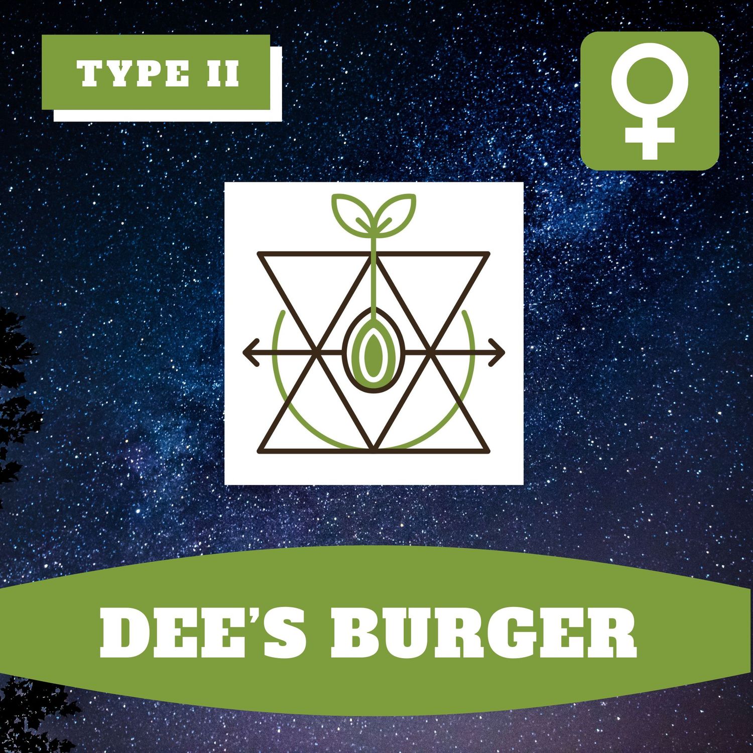 Dee's Burger (F) - 12 Seeds